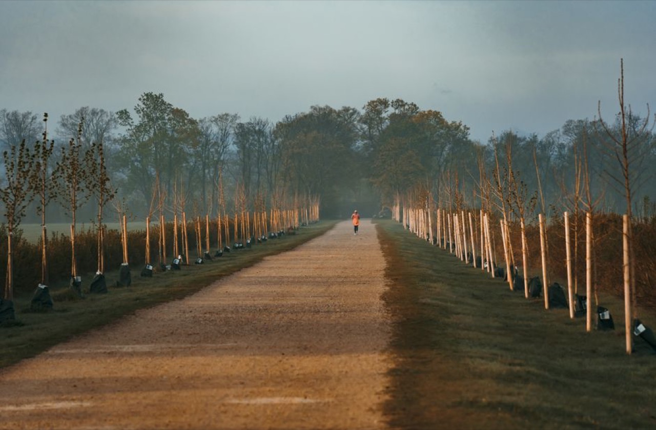 How to join a medical aid in South Africa Person jogging sunrise