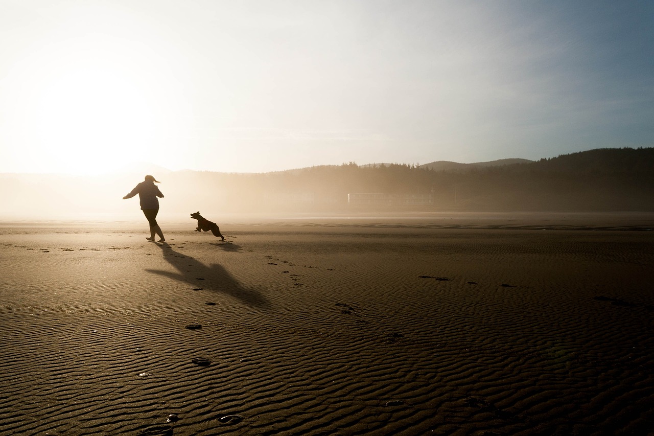 Medical aid and tax: medical tax credits explained Person jogging sunrise